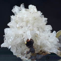 Hemimorphite