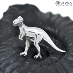 Tyrannosaurus Rex Silver Brooch